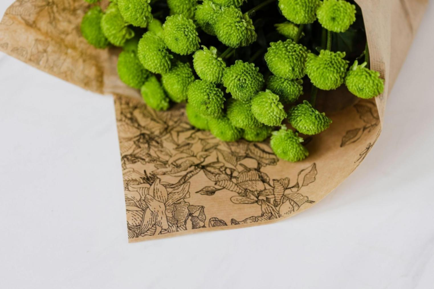 The Chicken Wire Frame That Collapsed During the Funeral