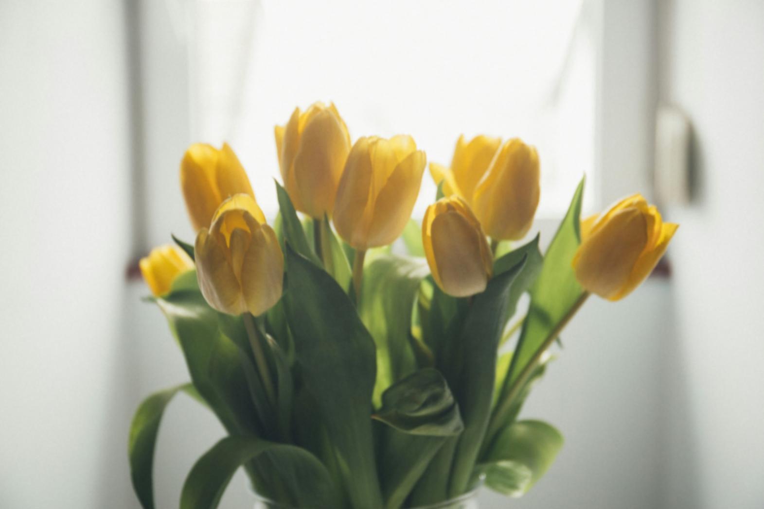 Floral attachment course visual reference panel